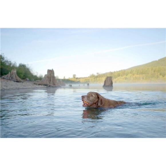 Ultra Ball Durable Rubber Fetch Dog Toy, Medium 2.5" for Medium Dogs, - Picture 2 of 5